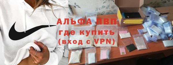 ГАЛЛЮЦИНОГЕННЫЕ ГРИБЫ Няндома
