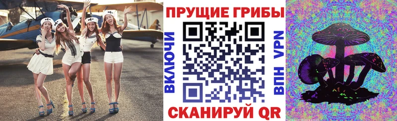 Галлюциногенные грибы Magic Shrooms  даркнет Telegram  Кирсанов  наркошоп 